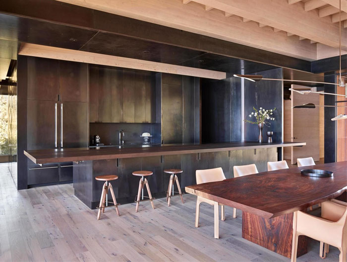 mid century modern sleek kitchen cabinets 1