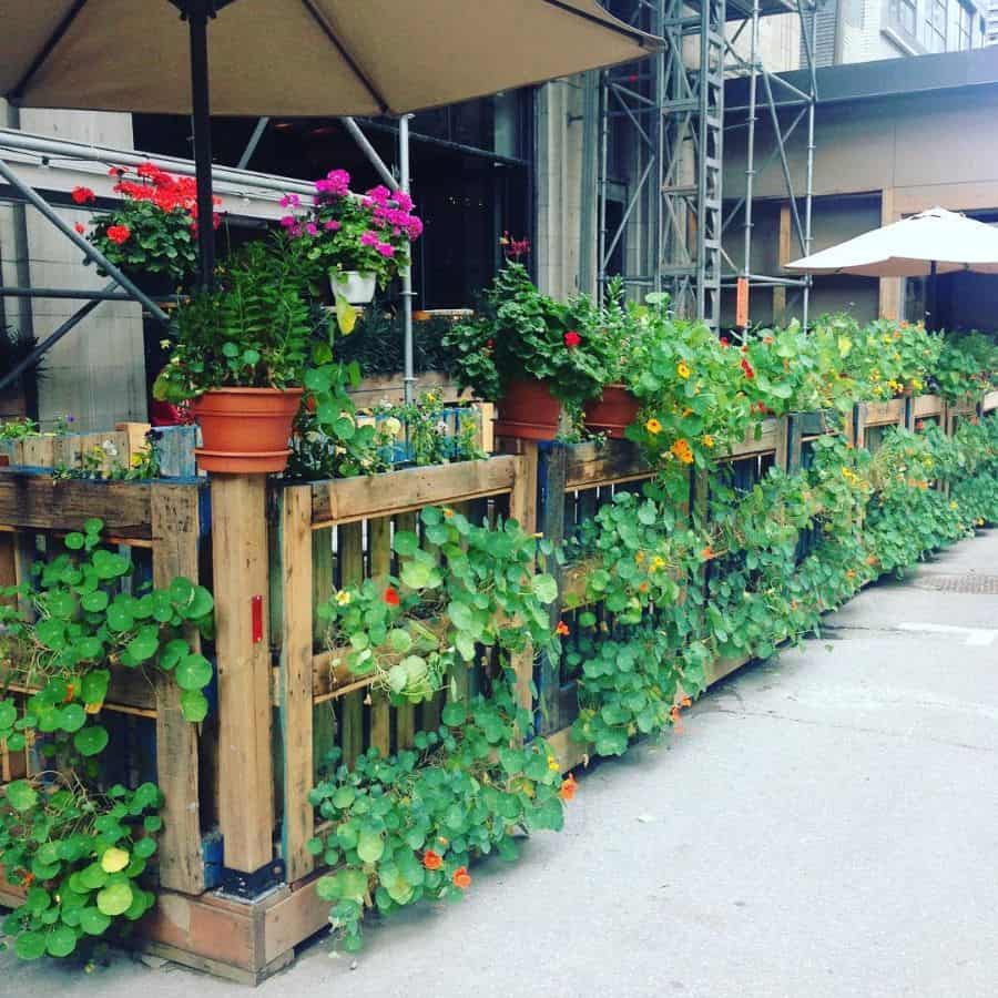 pallet fence garden ideas