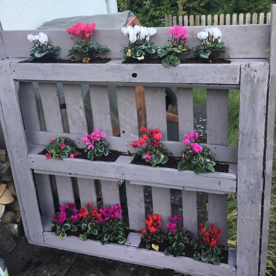 gray pallet flower box garden