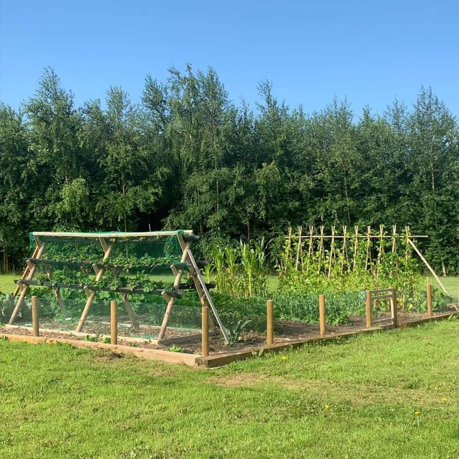 large outdoor vegetable patch