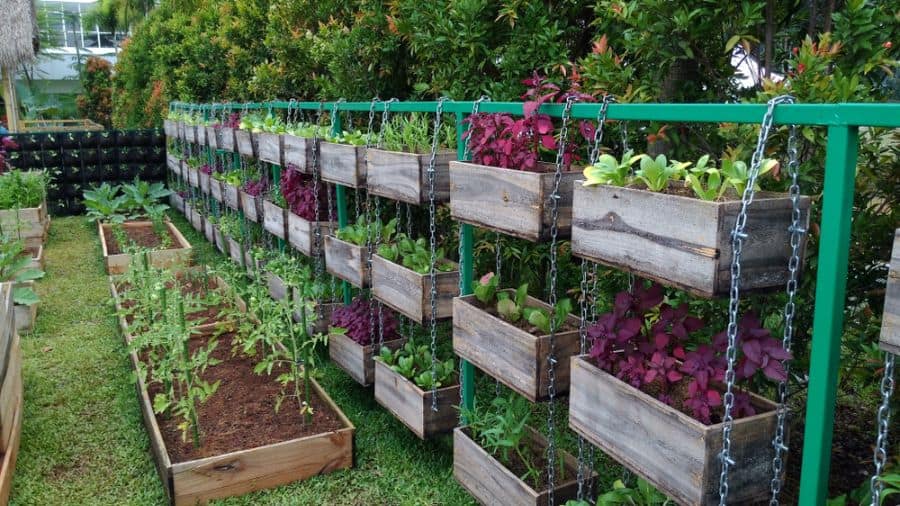 hanging planter boxes vegetable garden