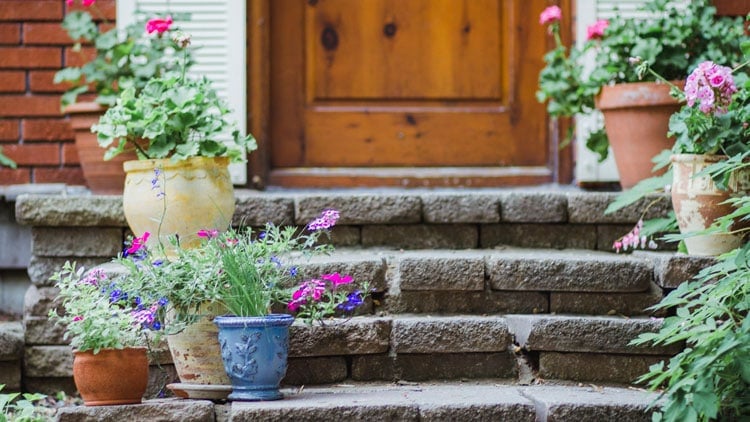pretty-front-door-potted-plants Pretty Front Door Potted Plants