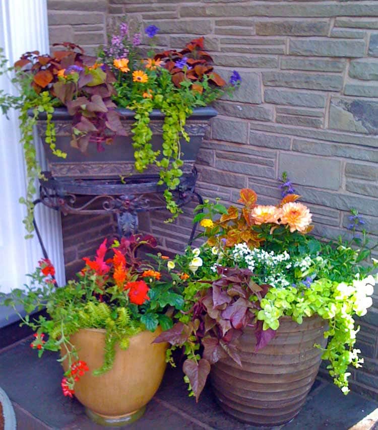 pretty-front-porch-flower-pot-ideas-and-planter-decor Pretty Front Porch Flower Pot Ideas and Planter Decor