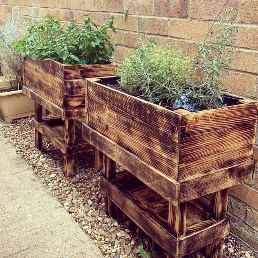 raised bed plant box pallet garden