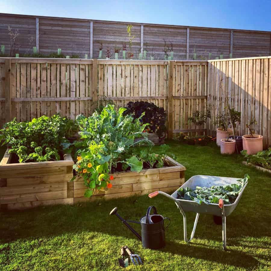 raised wood planter box vegetable garden