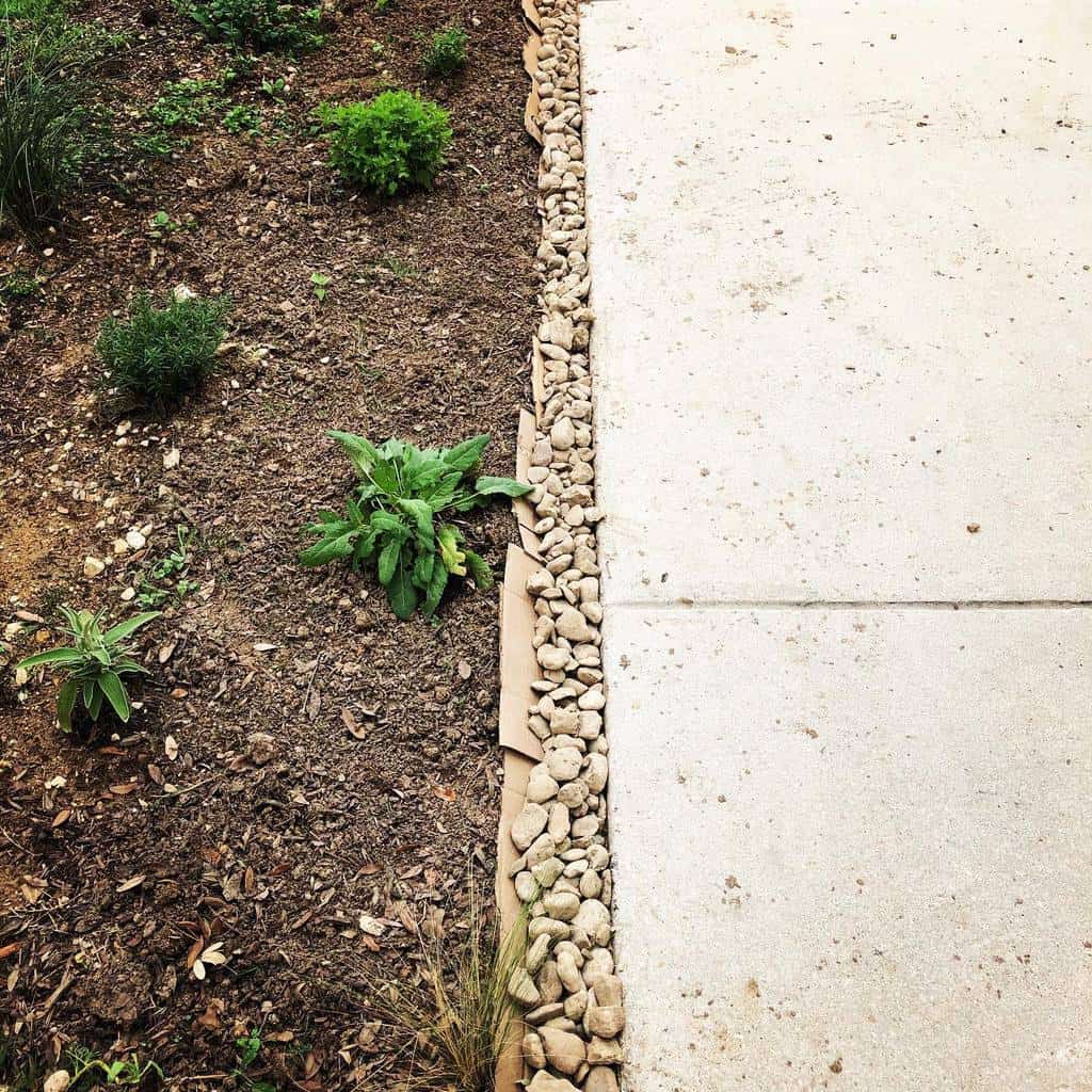 pebble garden edging small green plants