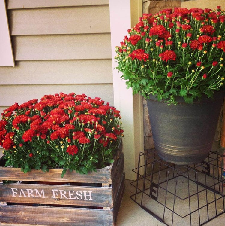 rustic-flower-pot-ideas-for-the-front-door Rustic Flower Pot Ideas For The Front Door