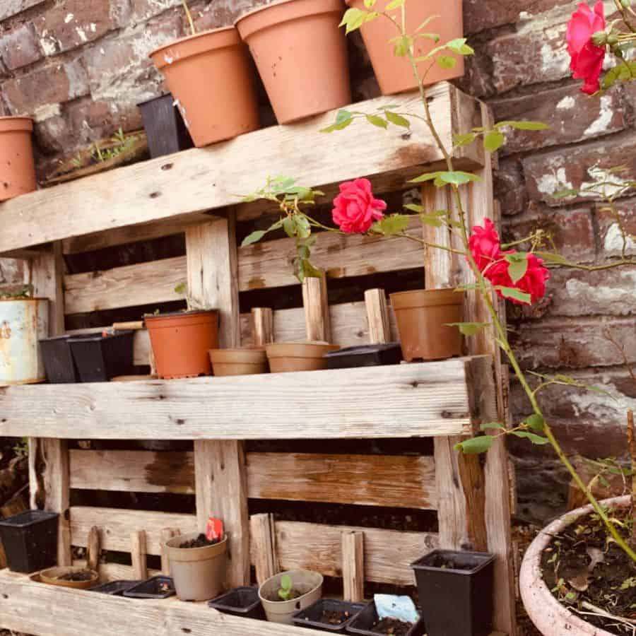 natural wood pallet wall garden