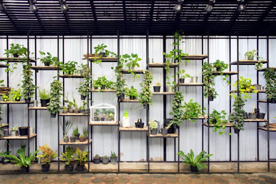 shelving-and-stand-for-vertical-garden-ideas-5 vertical garden with shelving