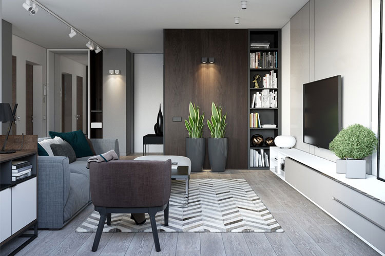 Simple Modern Men's Living Room