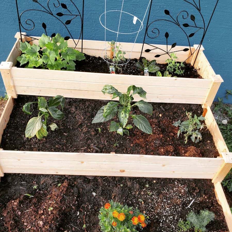 tiered wood garden beds