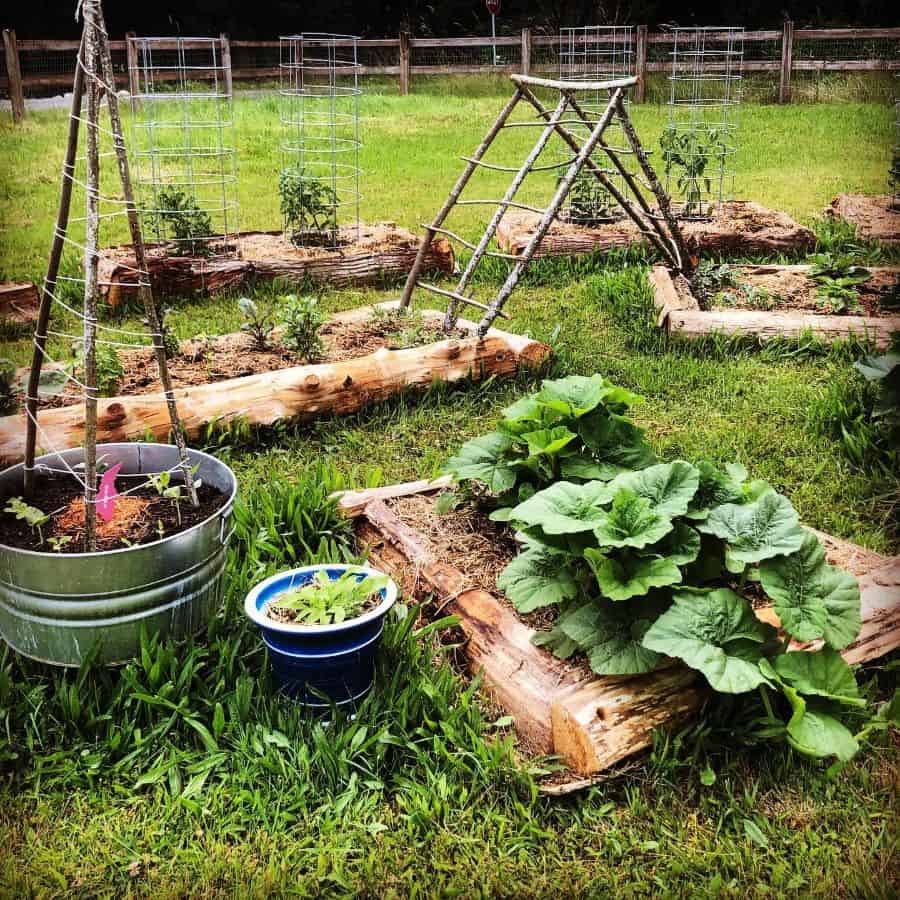 garden beds made from logs