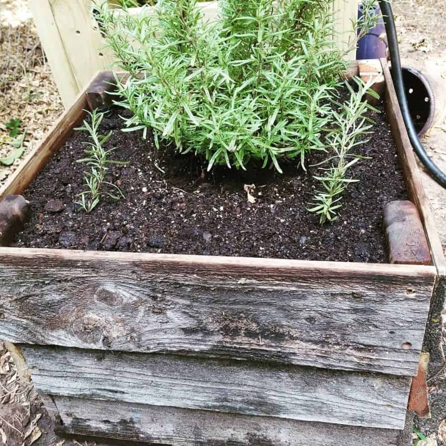 small raised wooden garden bed