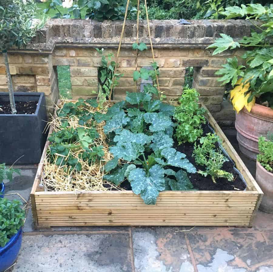 small wood planter veggie patch garden
