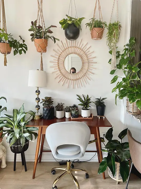 Sunburst Mirror in a Boho Office With Hanging Plants
