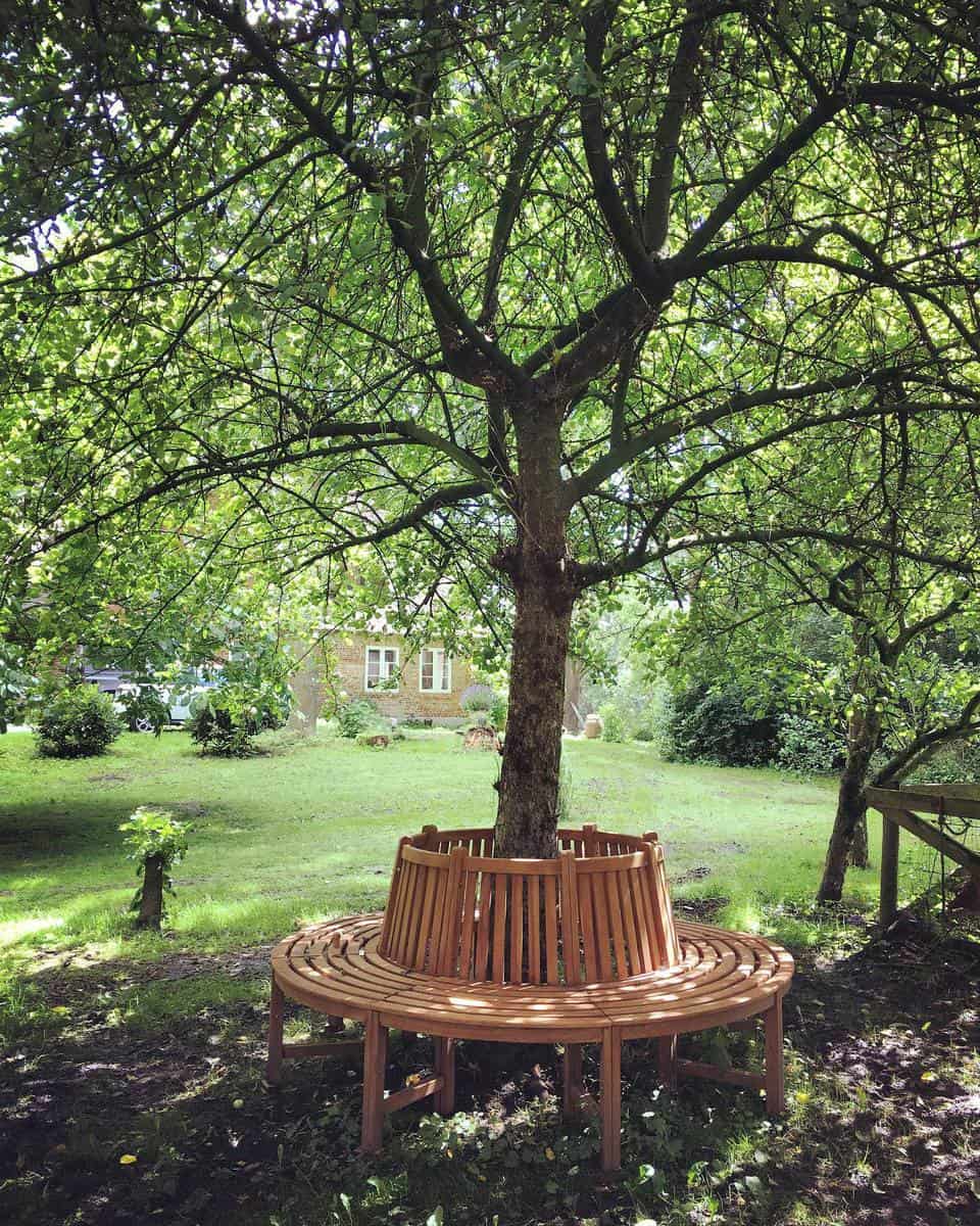 tree-bench-garden-bench-ideas-warftsimmerdeis circular tree bench garden bench