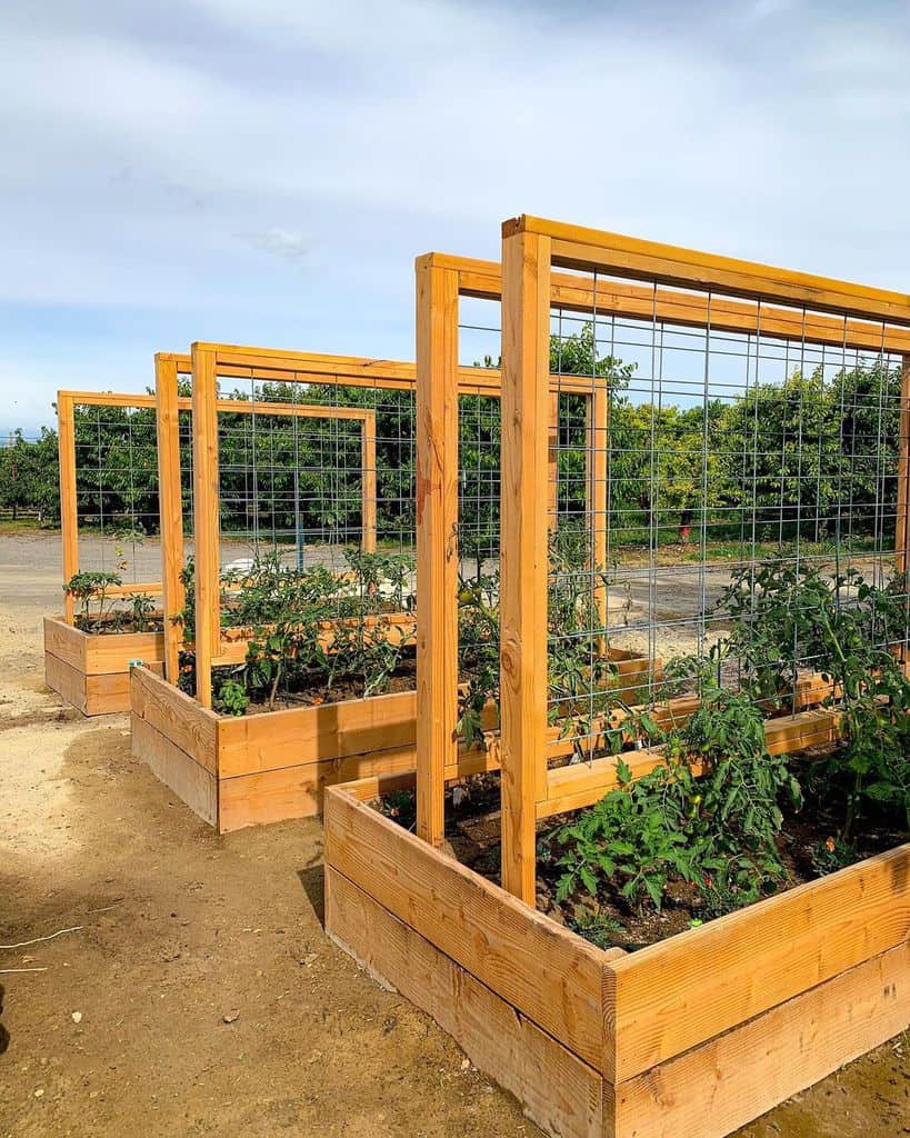 wood and wire trellis planter garden