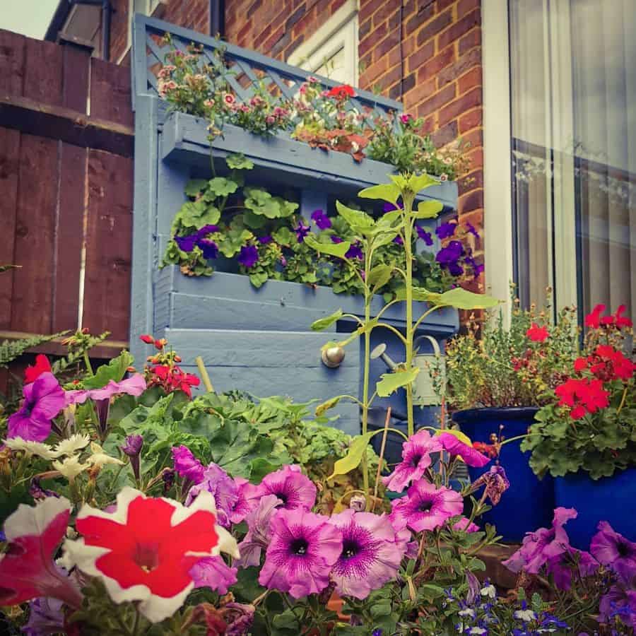 upcycled blue painted pallet garden