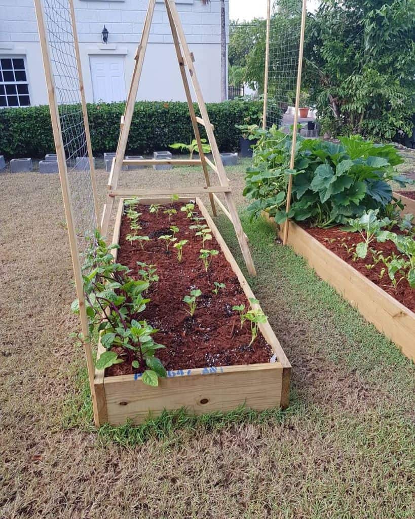 vegetable raised garden bed ideas