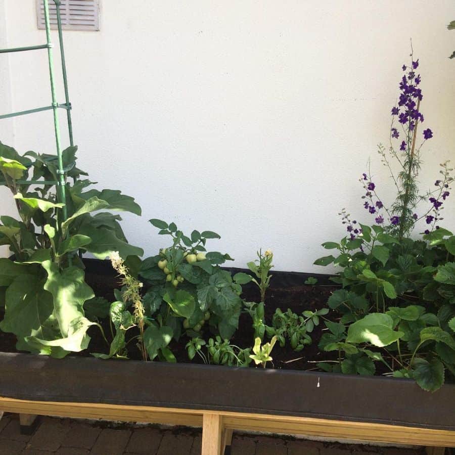 backyard garden bed with legs