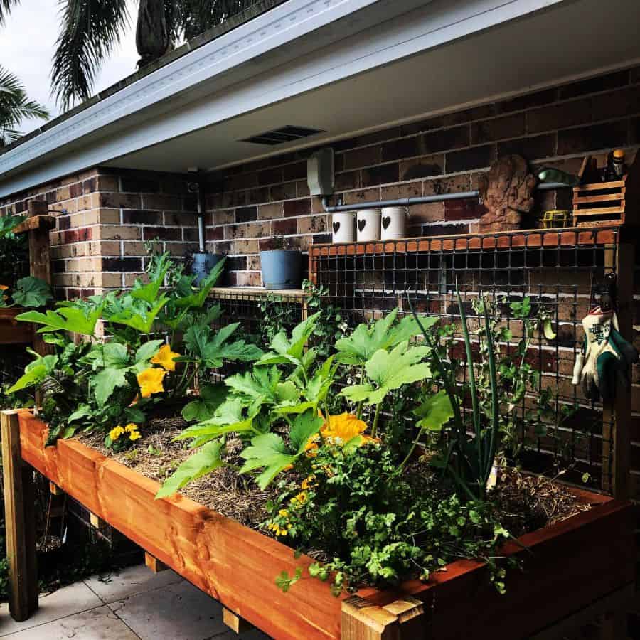 raised garden bed against brick wall