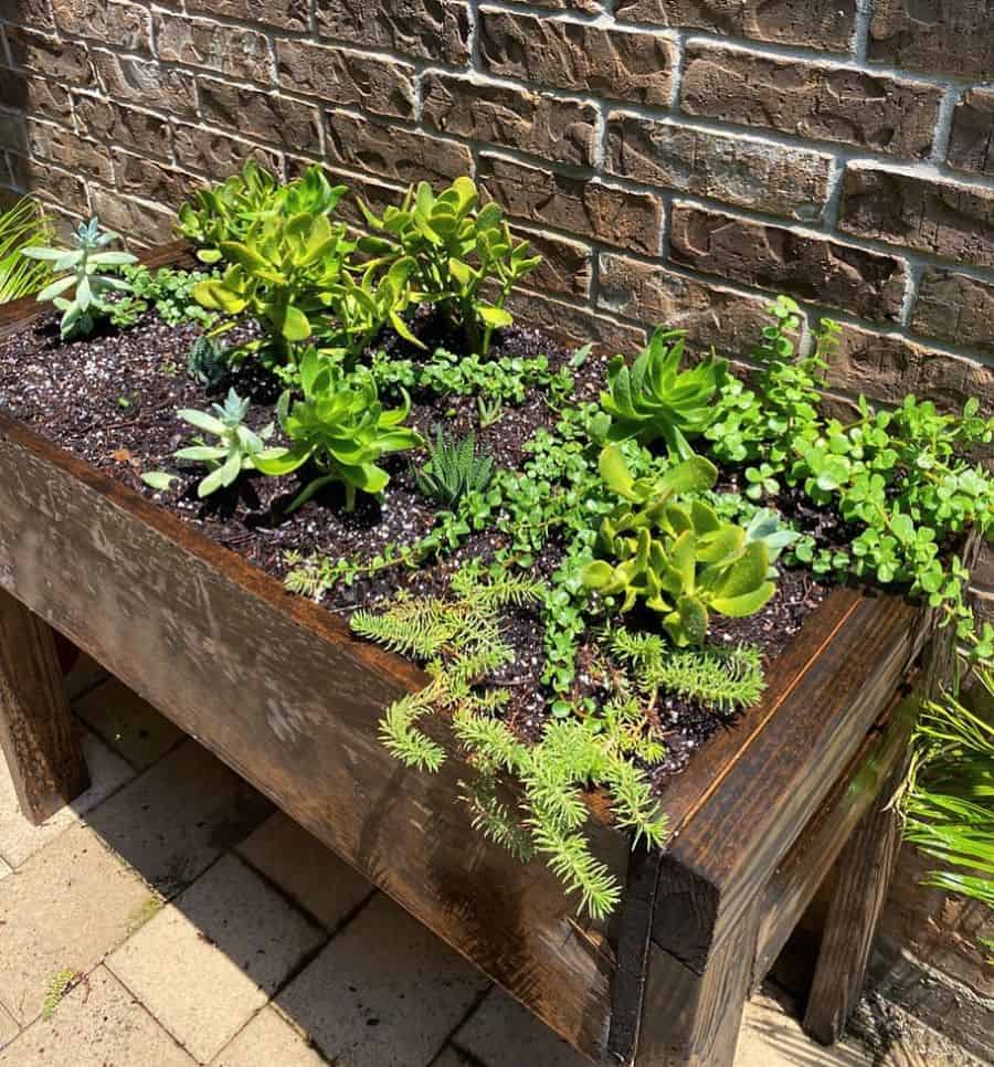 wood garden bed with legs