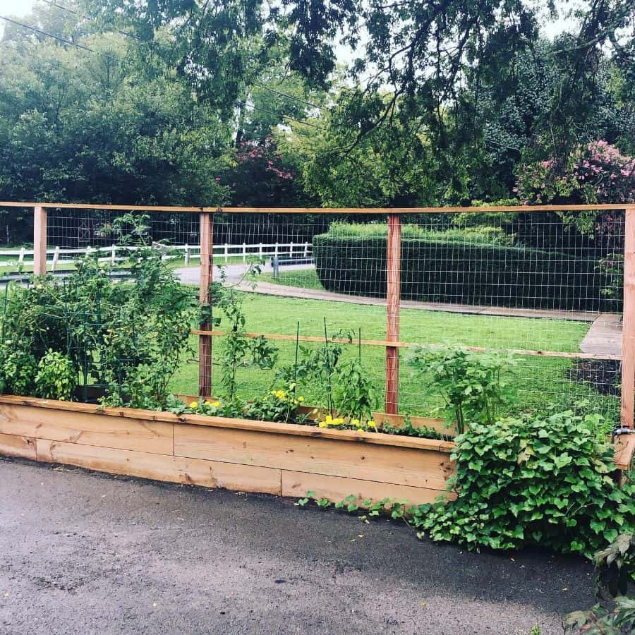 wood raised garden bed with trellis
