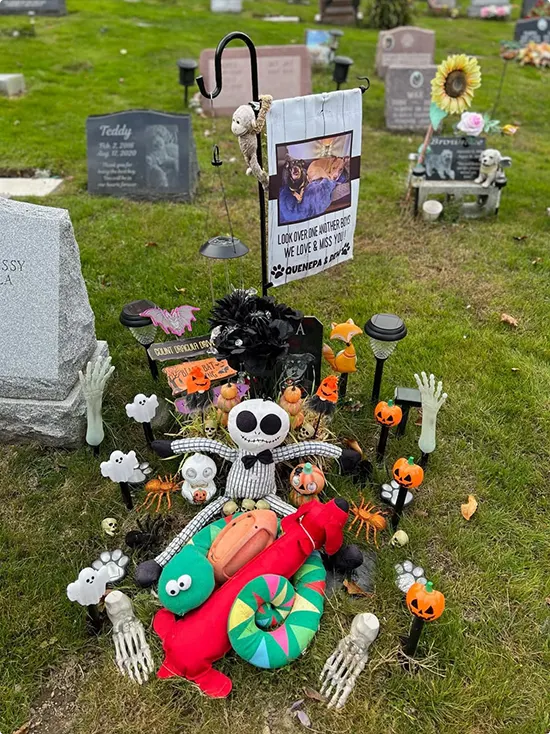 Halloween Graveyard Ideas