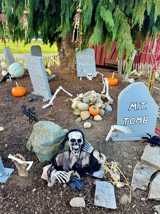 Rustic Backyard Graveyard