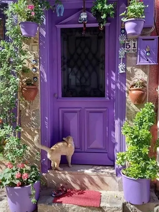 Purple Porch Entry