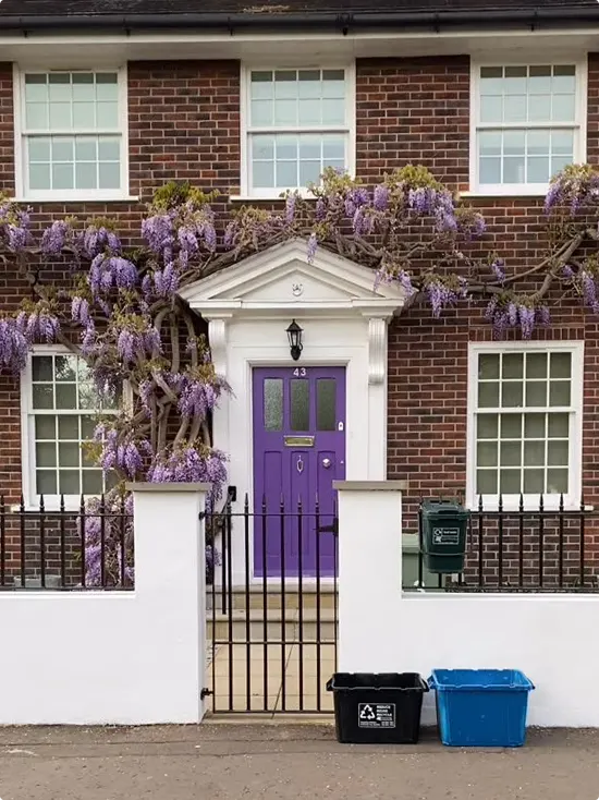 Red brick London row house and purple door