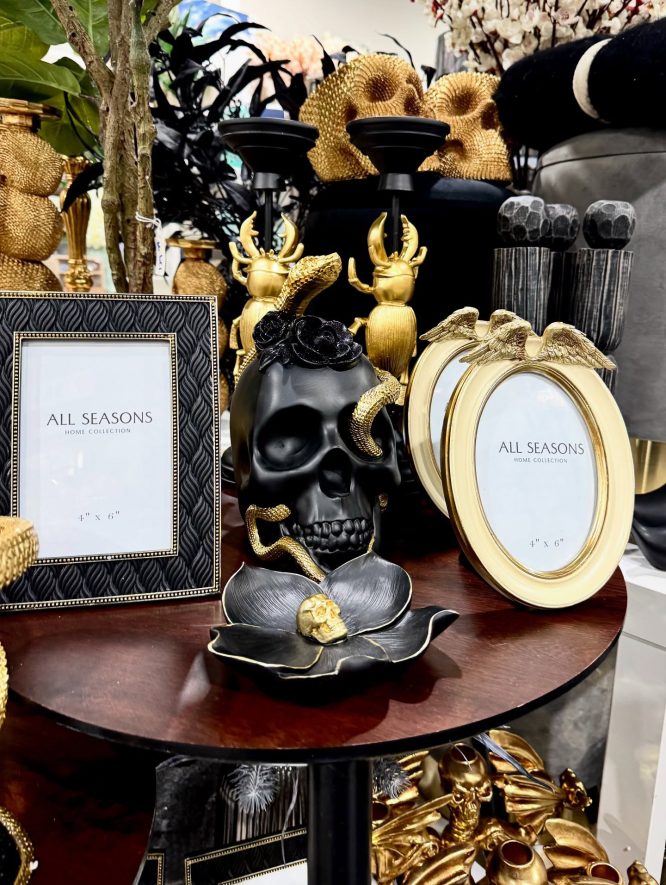 Matte Black Skull Vignette with Gold Snake and Beetle