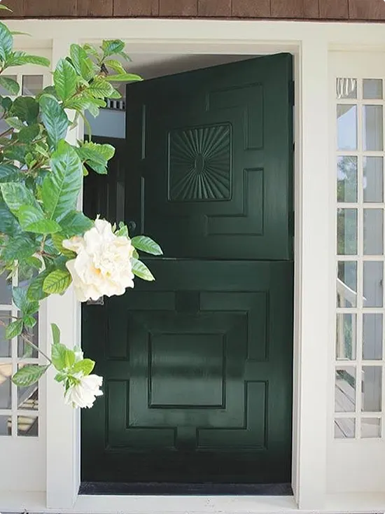 Nearly Black Green Door with Carved Panels