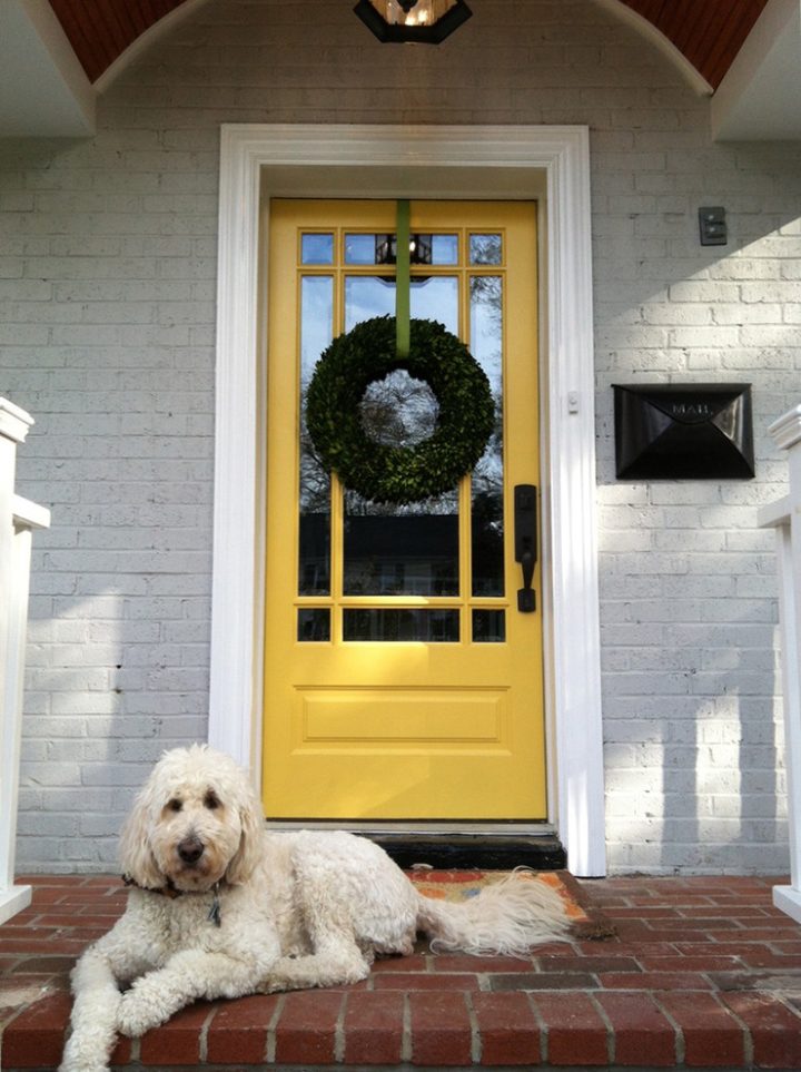 Boxwood Wreath with a Yellow Door and Golden Doodle