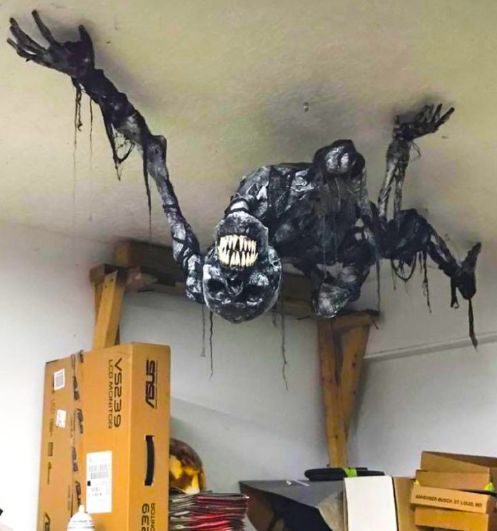 Ceiling Corner Creature