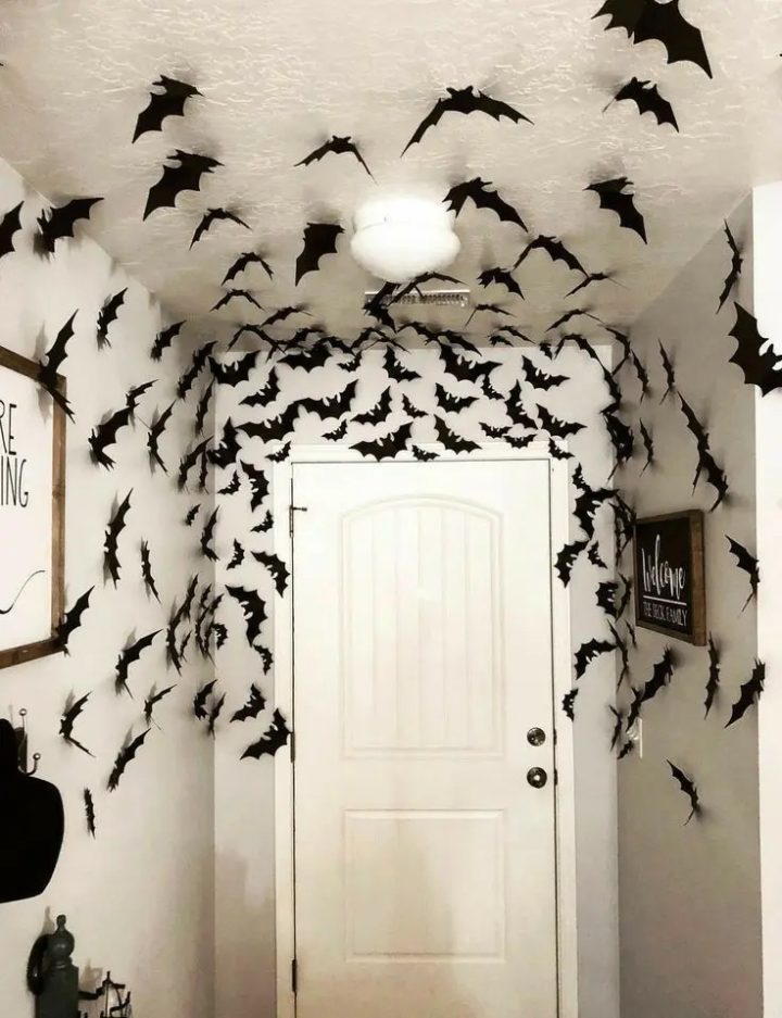 Front Door Bat Cloud