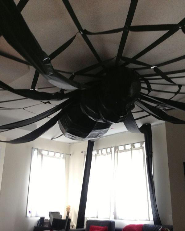 Giant Spider on the Ceiling