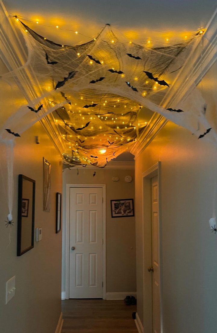 Golden Web Tunnel in a Hallway
