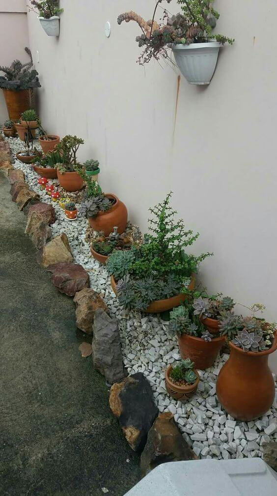 Narrow Garden Wall Succulent Row