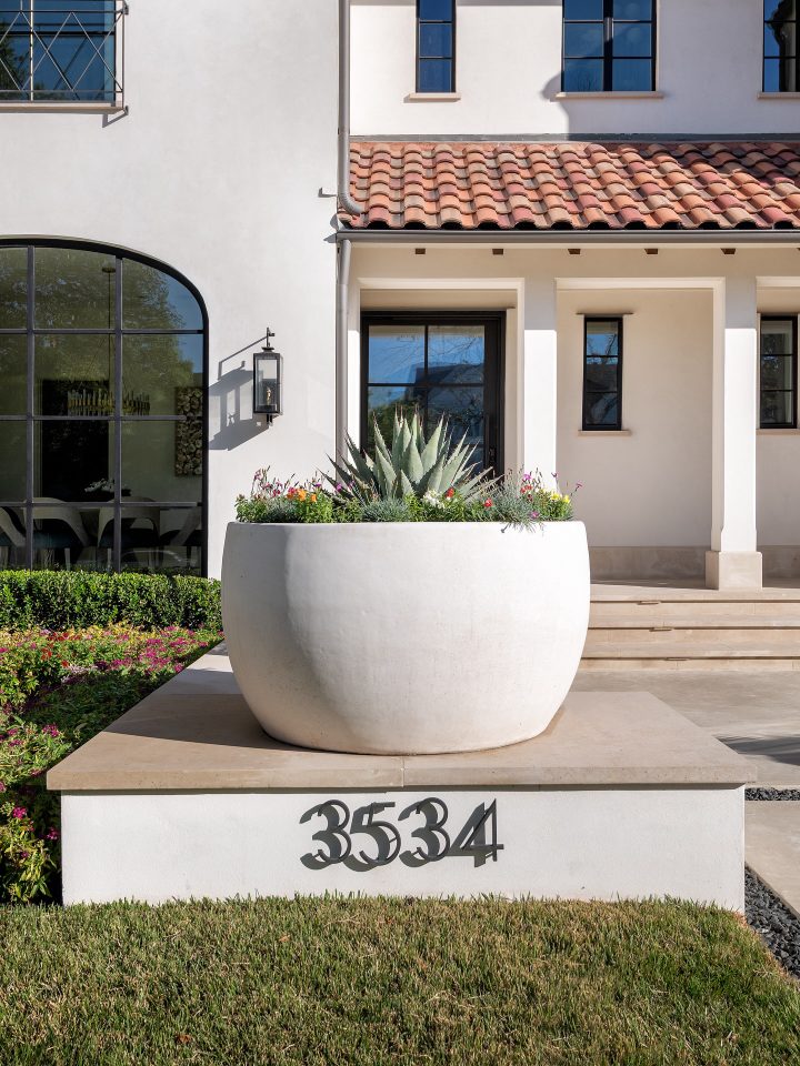 Oversized White Bowl with One Agave