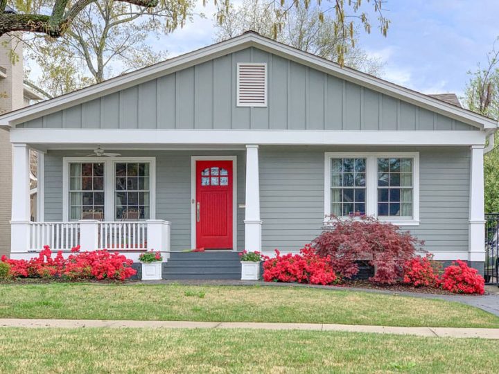 Red Azaleas at the Entry