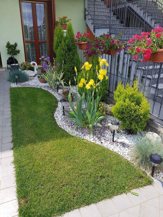 Yellow Iris in a Curved Rock Border