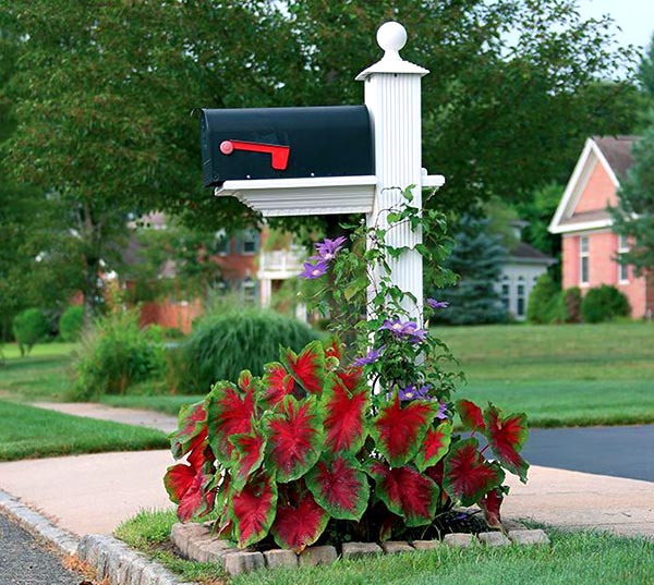 Mailbox Landscaping Ideas