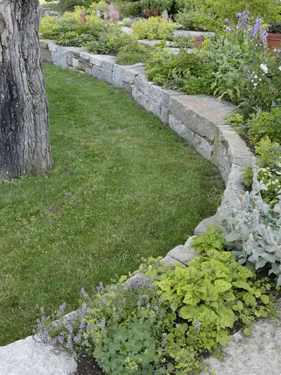 Gently Curving Substantial Stone Wall