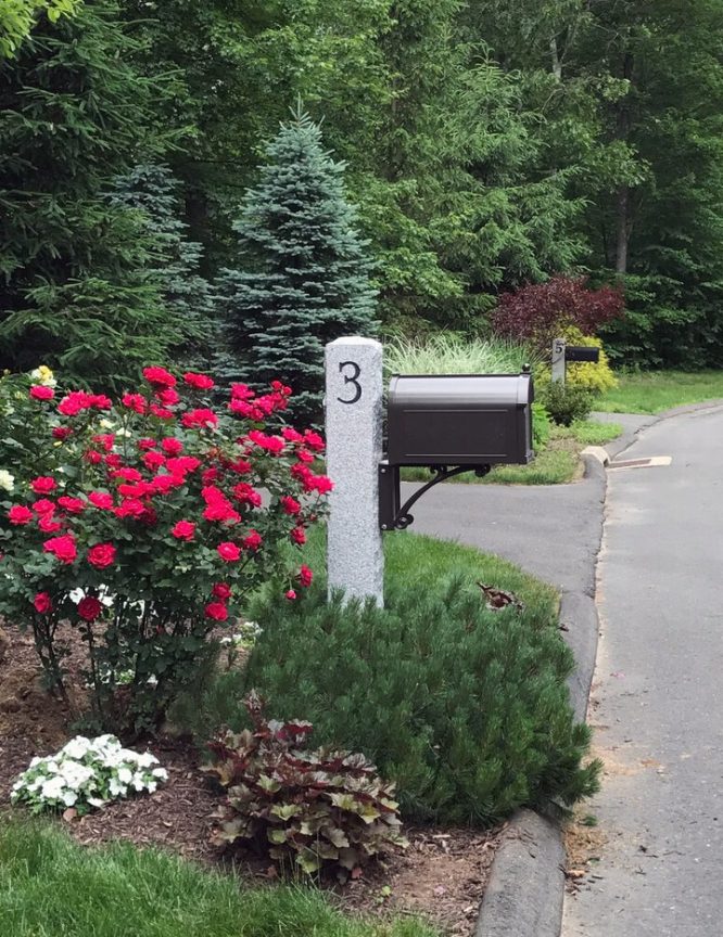 Granite Post Mailbox Planting