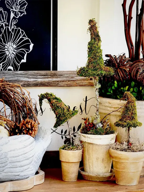 Moss and Wire Witch Hat Topiary