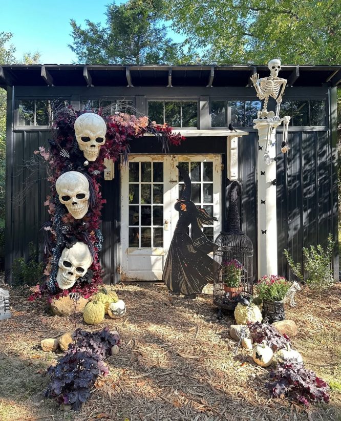 Outdoor Skull Display with Fall Foliage