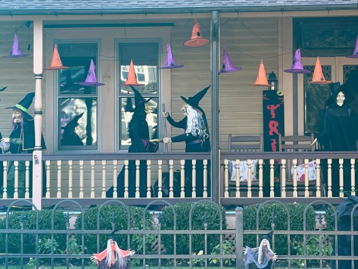 Purple and Orange Witch Hats
