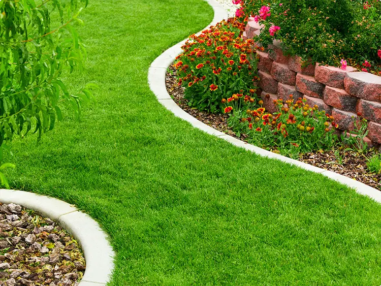 Smooth S-Shaped Poured Concrete Curb Around Mulched Bed and Circle