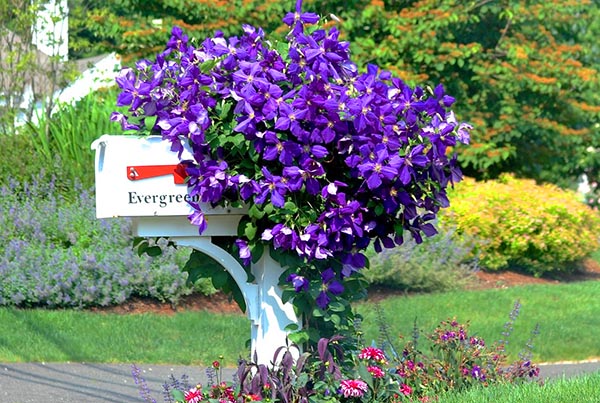 Mailbox Landscaping Ideas
